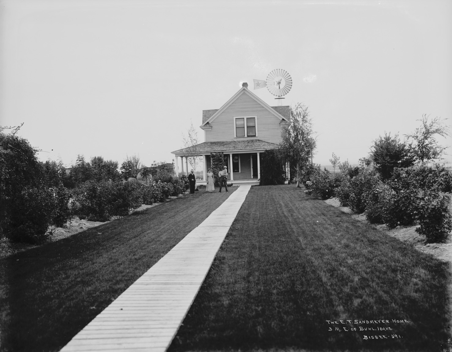 Buhl_591 · TFPL Digital Collections